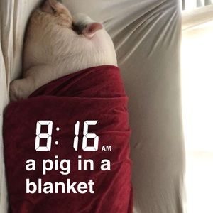 Meet your Posher, Leasa